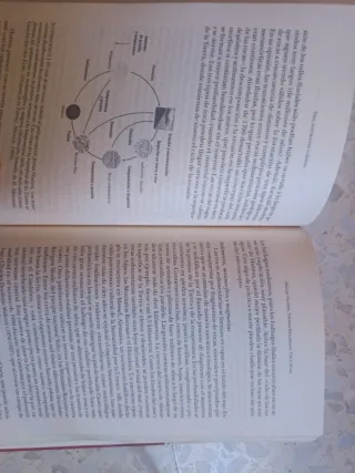 Vida, naturaleza y ciencia