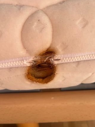 Cama eléctrica articulada con colchón (nuevo 2300€