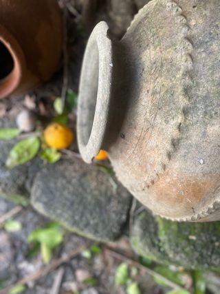 Vasija anttigua ceramica