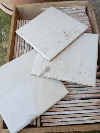 Lote de baldosas blancas