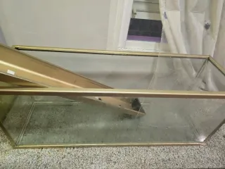 Pecera con calentador y filtro