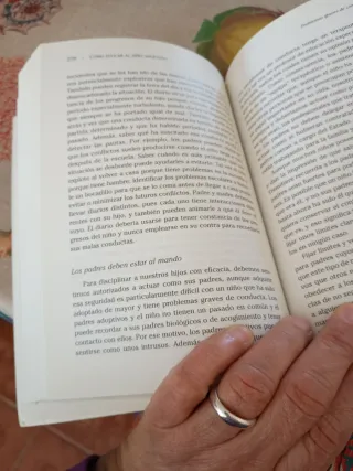 COMO EDUCAR AL NIÑO ADOPTADO