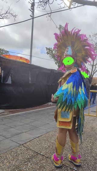 Traje Carnaval Comparsa Badajoz Pájaro