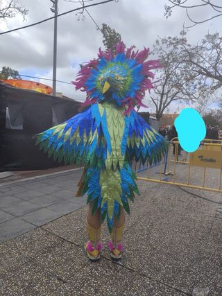 Traje Carnaval Comparsa Badajoz Pájaro