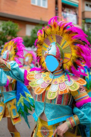 Traje Carnaval Comparsa Badajoz Pájaro