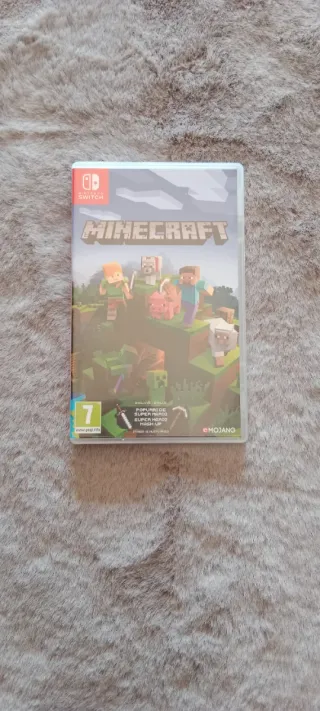 Minecraft Nintendo Switch