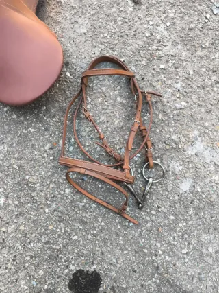 Silla de montar inglesa 16 pulgadas y cabezada