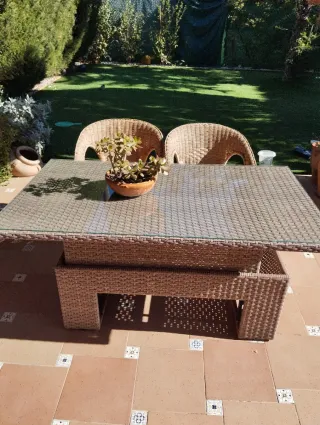 Mesa jardin convertible mesa de centro