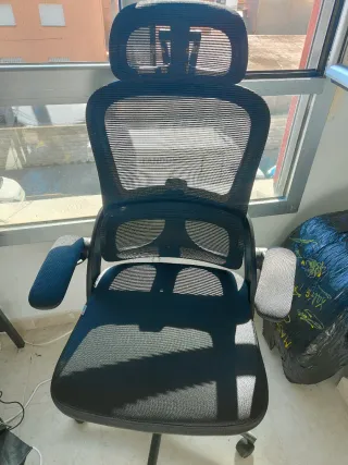 Silla de Escritorio Ergonomica Sihoo M102C