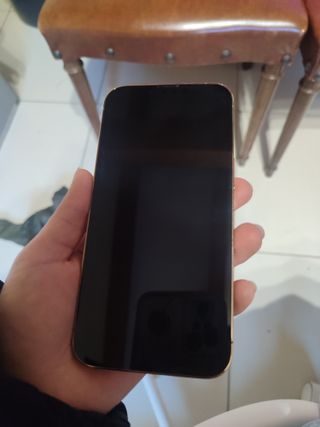 iPhone 13 Pro Dorado