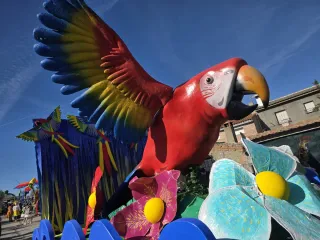 Carroza Carnaval Loro/guacamayo Gigante
