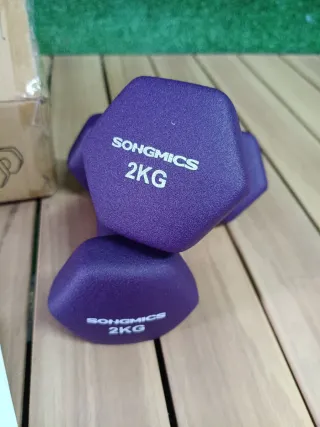 SONGMICS Juego de 2 Mancuernas 2 Kg, Purpuras