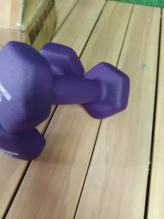 SONGMICS Juego de 2 Mancuernas 2 Kg, Purpuras