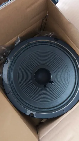 Pareja de altavoces Orange Voice of the World 10“