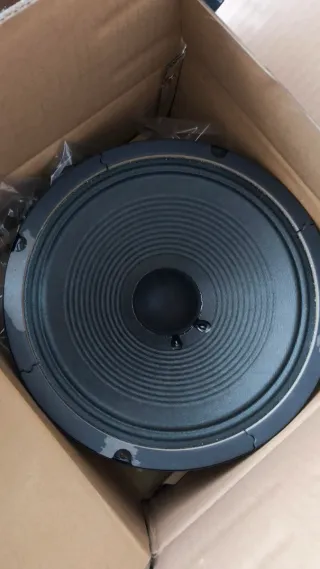 Pareja de altavoces Orange Voice of the World 10“