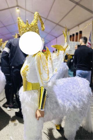 Disfraz de centauro. Se escuchan ofertas.