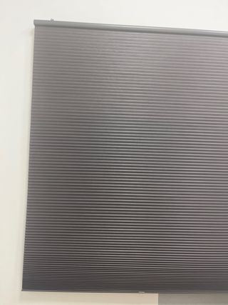 Estor gris