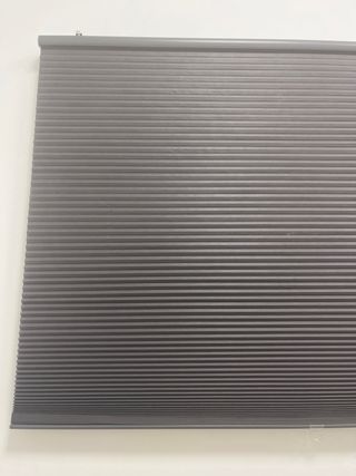 Estor gris