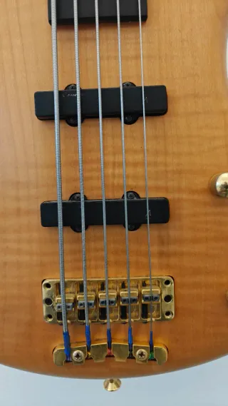 Bajo Warwick Corvette Pro Line 5 Fretless