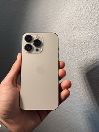 iPhone 13 Pro Argento Oro 128 GB Come Nuovo