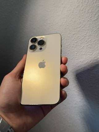 iPhone 13 Pro Argento Oro 128 GB Come Nuovo