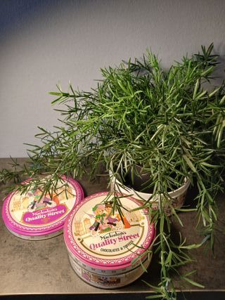 Set 2 Scatole Latta Vintage Quality Street