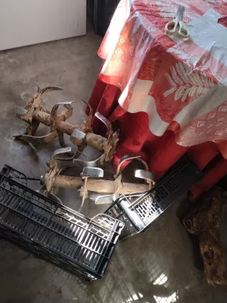 Fort Minitigre 8cv tlf673039141