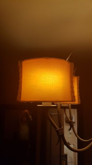 LÁMPARA DE TECHO LED. TULIPAS OVALADAS