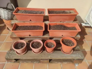 Regalo Tumbona de madera terraza y Macetero palets