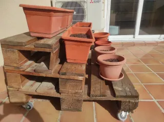 Regalo Tumbona de madera terraza y Macetero palets