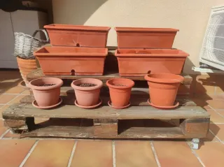 Regalo Tumbona de madera terraza y Macetero palets