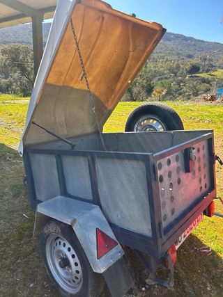 Remolque para perros y carga