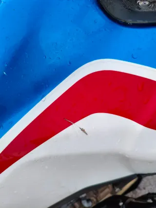 Honda Africa Twin 1100 2021