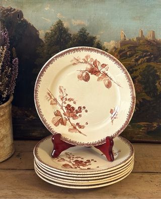 6 Platos antiguos de postre terre de fer