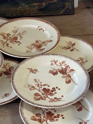 6 Platos antiguos de postre terre de fer