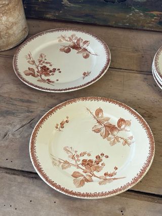 6 Platos antiguos de postre terre de fer