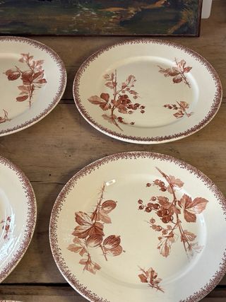 6 Platos antiguos de postre terre de fer