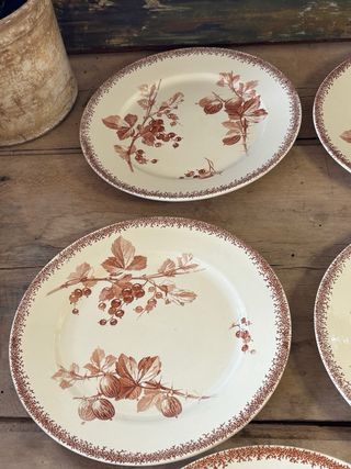 6 Platos antiguos de postre terre de fer