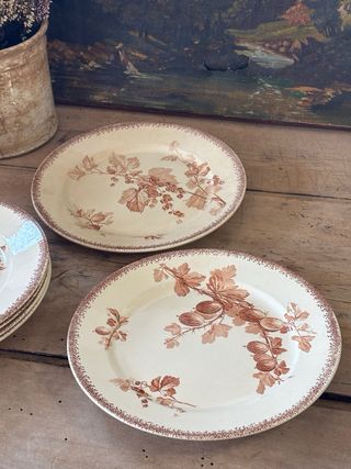 6 Platos llanos antiguos terre de fer