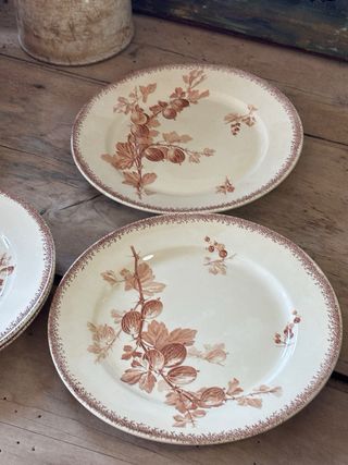 6 Platos llanos antiguos terre de fer