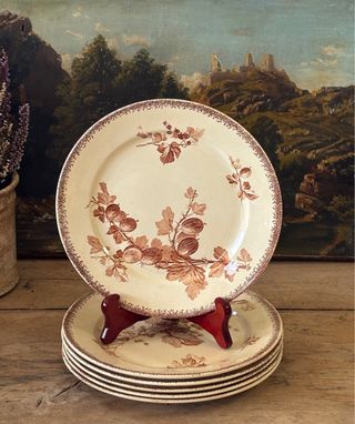 6 Platos llanos antiguos terre de fer