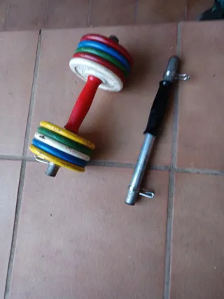 Mancuernas con discos de colores