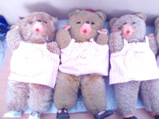 lote oso de peposa o peposo de la marca vir de 30