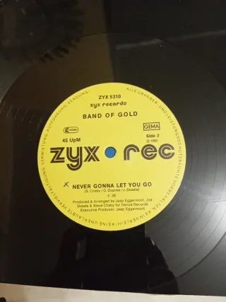 Vinili Band of gold Neville brothers Denis la page