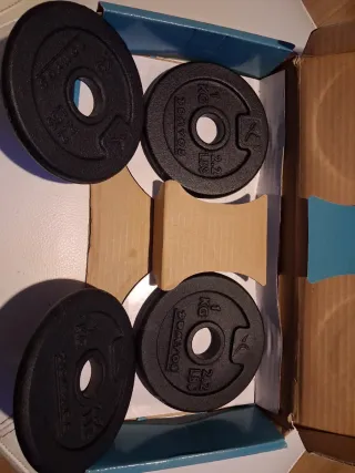 Lote 4 Discos de Hierro Fundido Domyos (1kg/ud) -