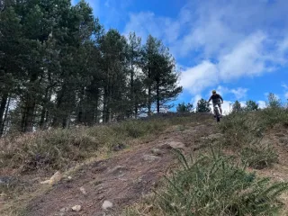 Orbea Laufey Talla M 29" Bicicleta Trail Enduro