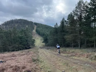 Orbea Laufey Talla M 29" Bicicleta Trail Enduro