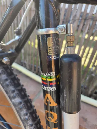 Bicicleta Aquila Clásica