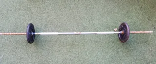 Barra con 2 discos de 5kg
