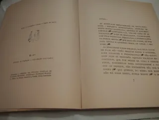 Livro Infantil Romance da Raposa Vintage